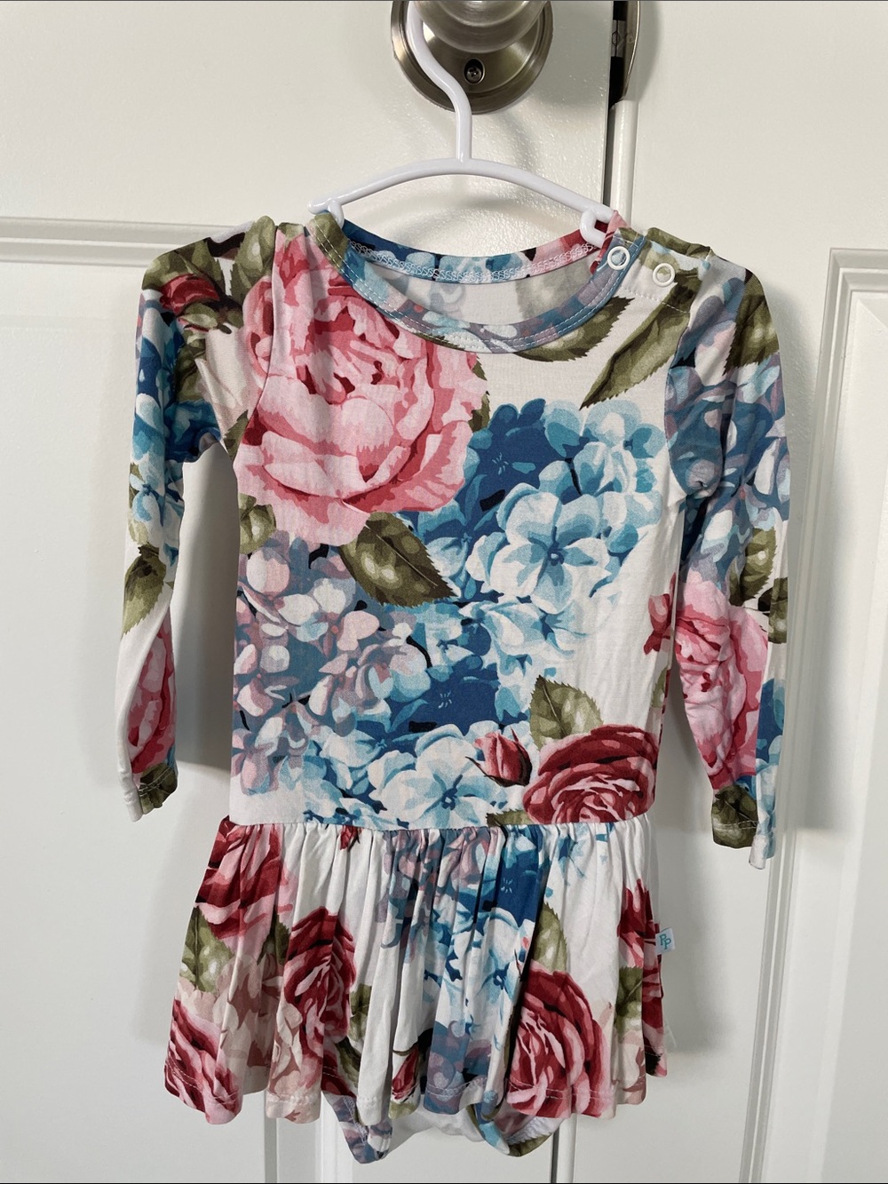 Posh Peanut hydrangea floral long sleeve twirl dress size 12–18 months